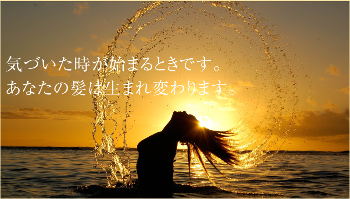 女性の髪
