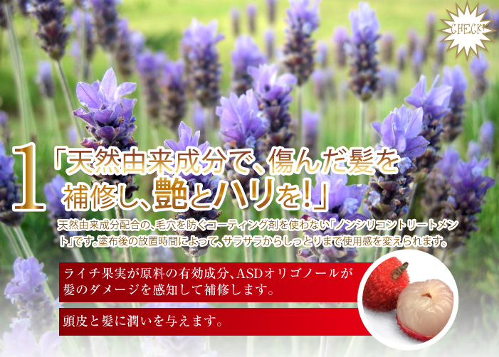 ライチ由来