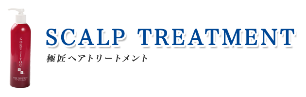 極匠ヘアトリートメント