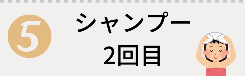 極匠ポレスカルプシャンプーご使用方法