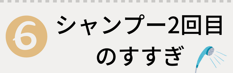 極匠ポレスカルプシャンプーご使用方法