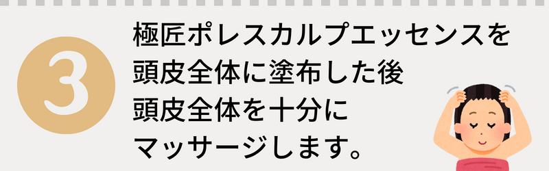 極匠ポレスカルプエッセンスご使用方法