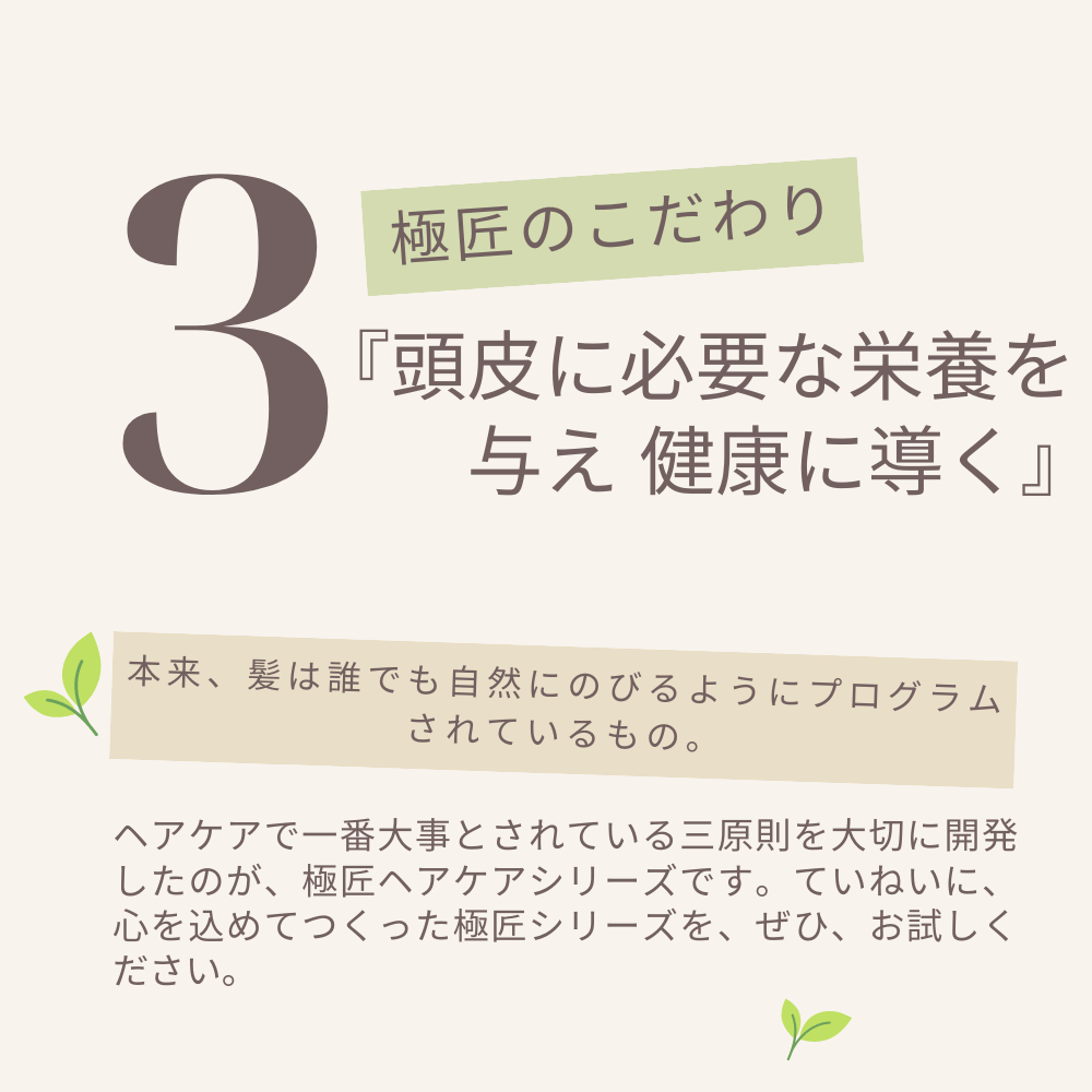 初めての方限定お試しセット