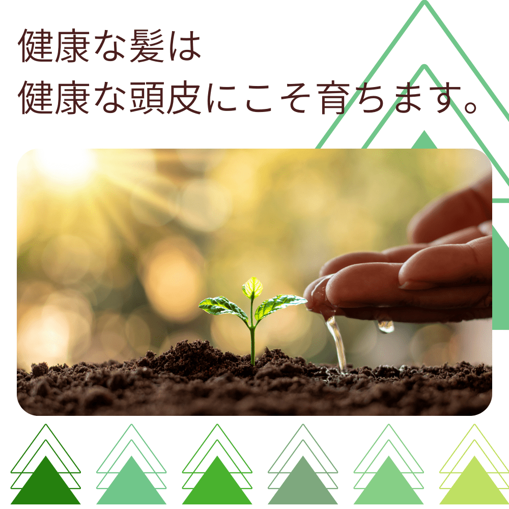 初めての方限定お試しセット