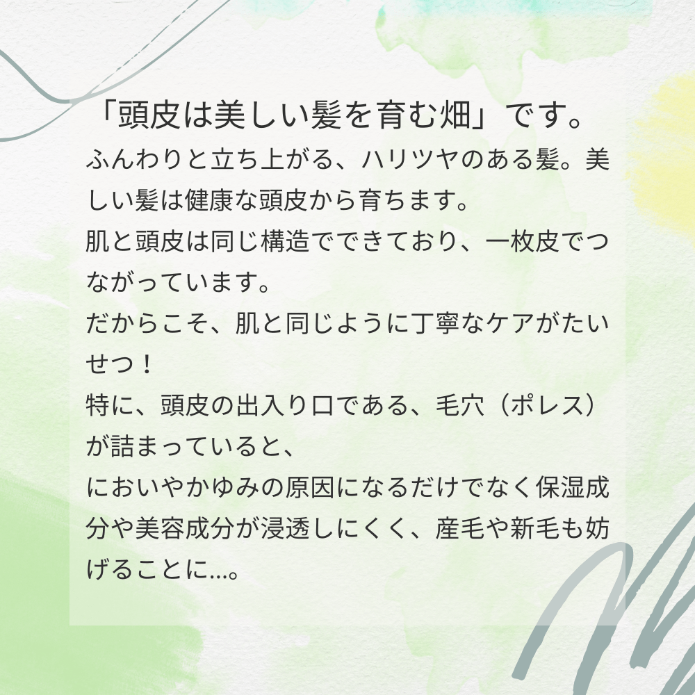 初めての方限定お試しセット