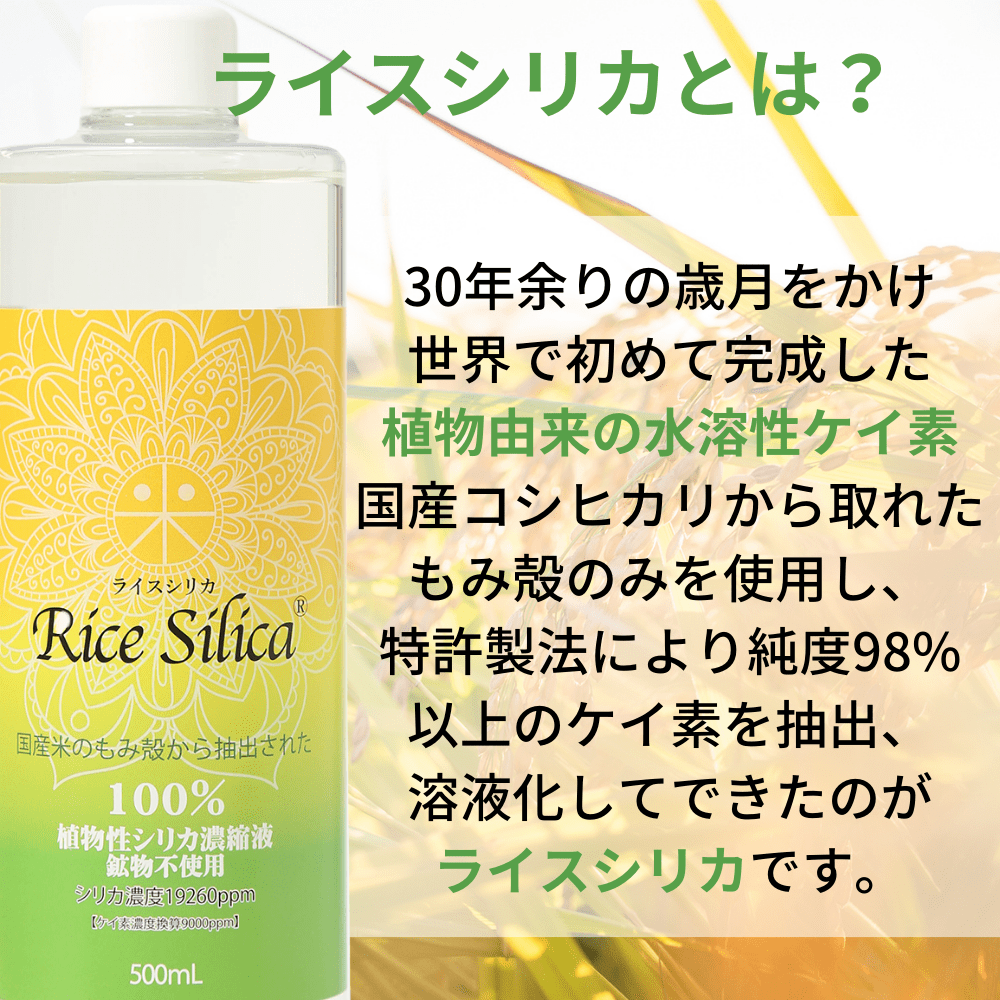 ライスシリカ 500ml （約1～2ヵ月分）RiceSilica 植物性シリカ濃縮液 ...