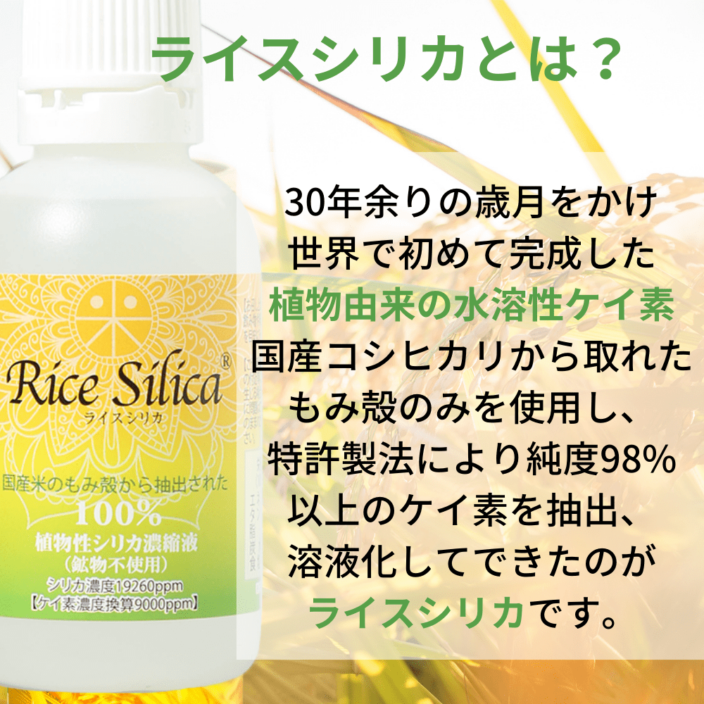 ライスシリカ-ricesilica-植物性ケイ素