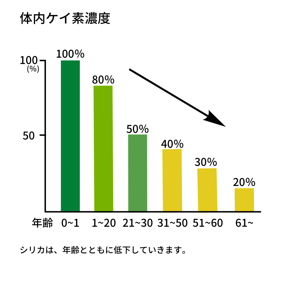 ライスシリカ-ricesilica-植物性ケイ素