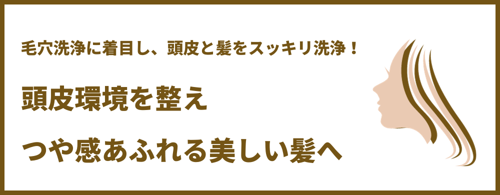 薄毛抜け毛が気になりだしたら極匠ポレスカルプシャンプーできまり